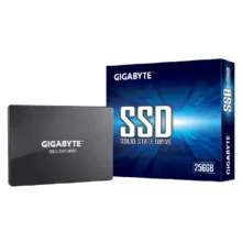 اس اس دی اینترنال گیگابایت مدل GP-GSTFS31256GTND ظرفیت 256 گیگابایت