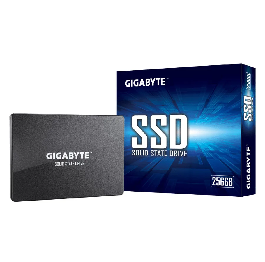 اس اس دی اینترنال گیگابایت مدل GP-GSTFS31256GTND ظرفیت 256 گیگابایت
