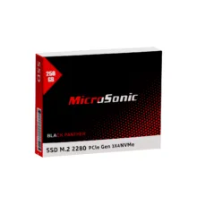 اس اس دی اینترنال PCIe Gen3 x4 میکروسونیک مدل BLACK PANTHER ظرفیت 256 گیگابایت