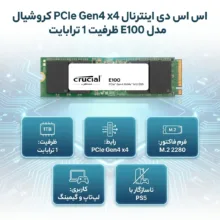 اس اس دی اینترنال PCIe Gen4 x4 کروشیال مدل E100 ظرفیت 1 ترابایت
