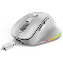 ماوس بی سیم مخصوص بازی جنیوس مدل Ergo 9000S Pro