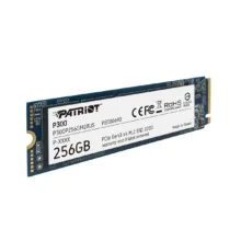 اس اس دی اینترنال پتریوت مدل P300 ظرفیت 256 گیگابایت
