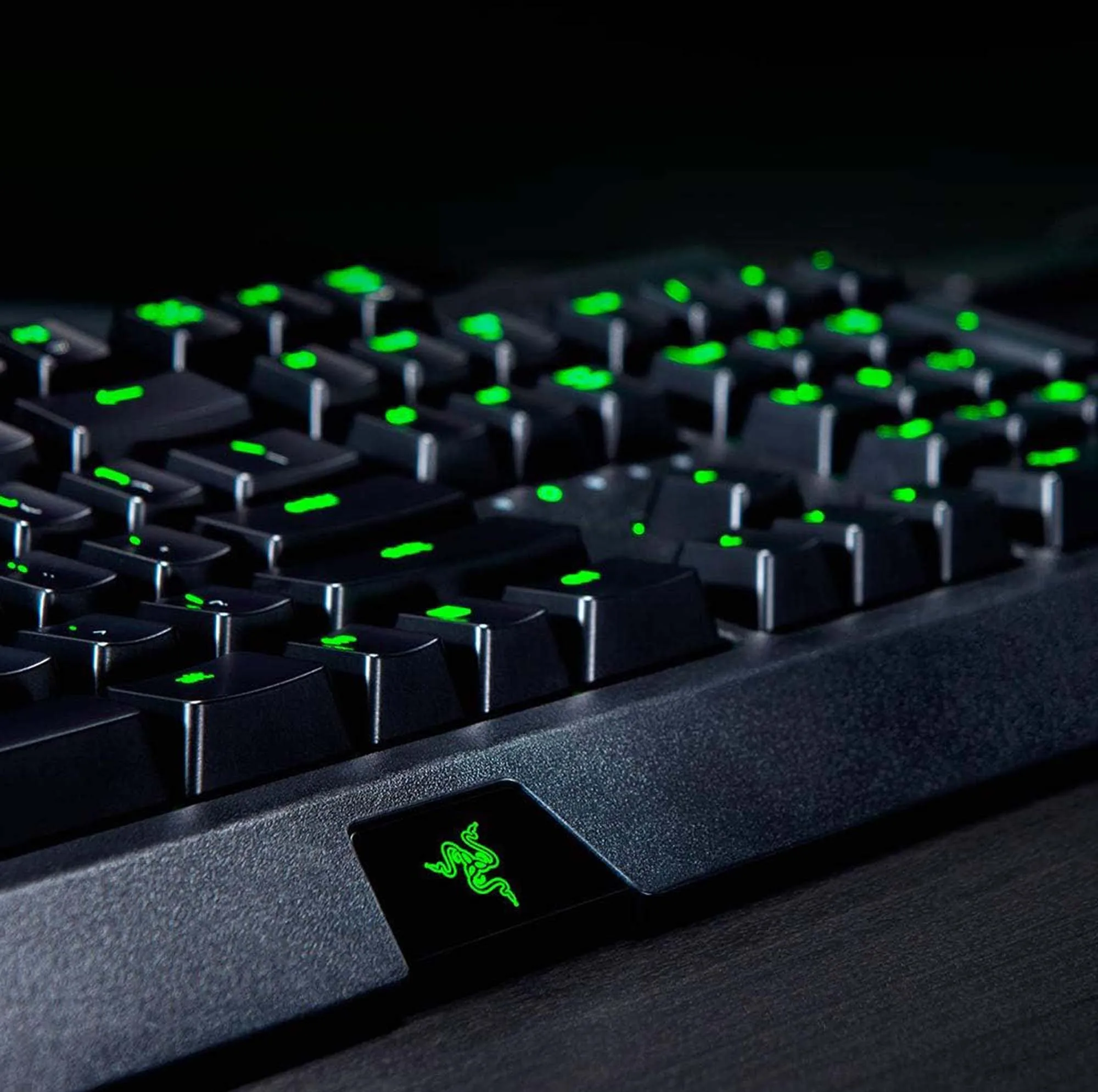 کیبورد گیمینگ ریزر مدل BlackWidow Essential Green Switch