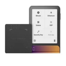 کیف پول سخت افزاری لجر مدل فلکس طرح Ferro Fuchsia به همراه کلید ریکاوری