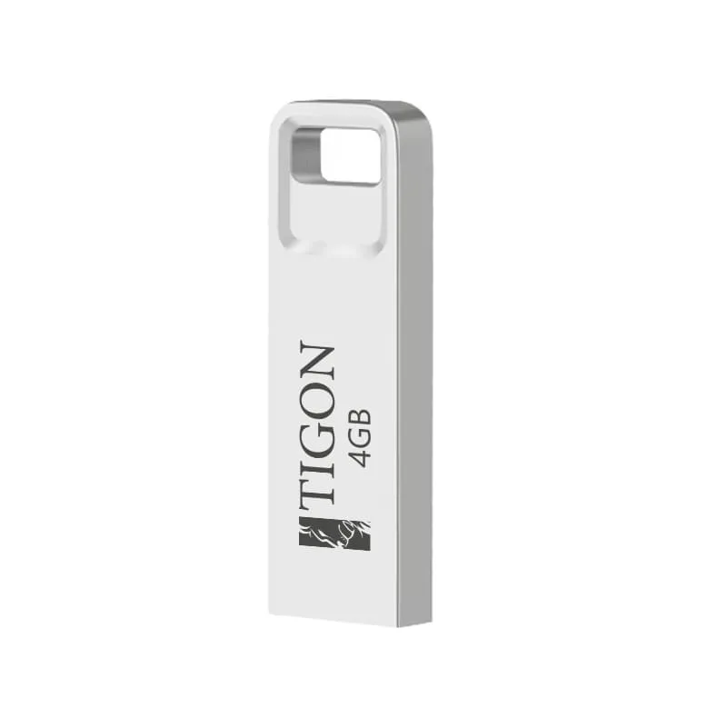 فلش مموری تایگون مدل Baro ظرفیت 4 گیگابایت با رابط USB 2.0