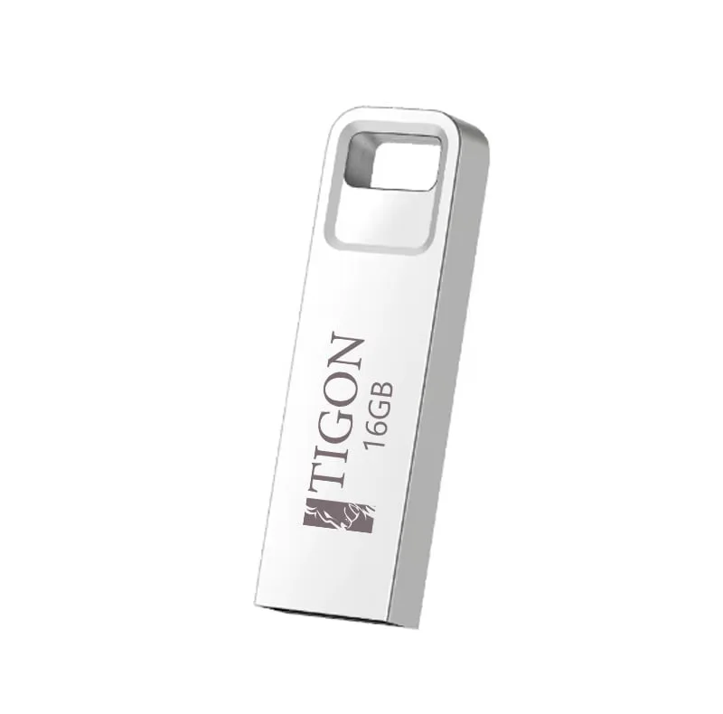 فلش مموری تایگون مدل Baro ظرفیت 16 گیگابایت با رابط USB 2.0