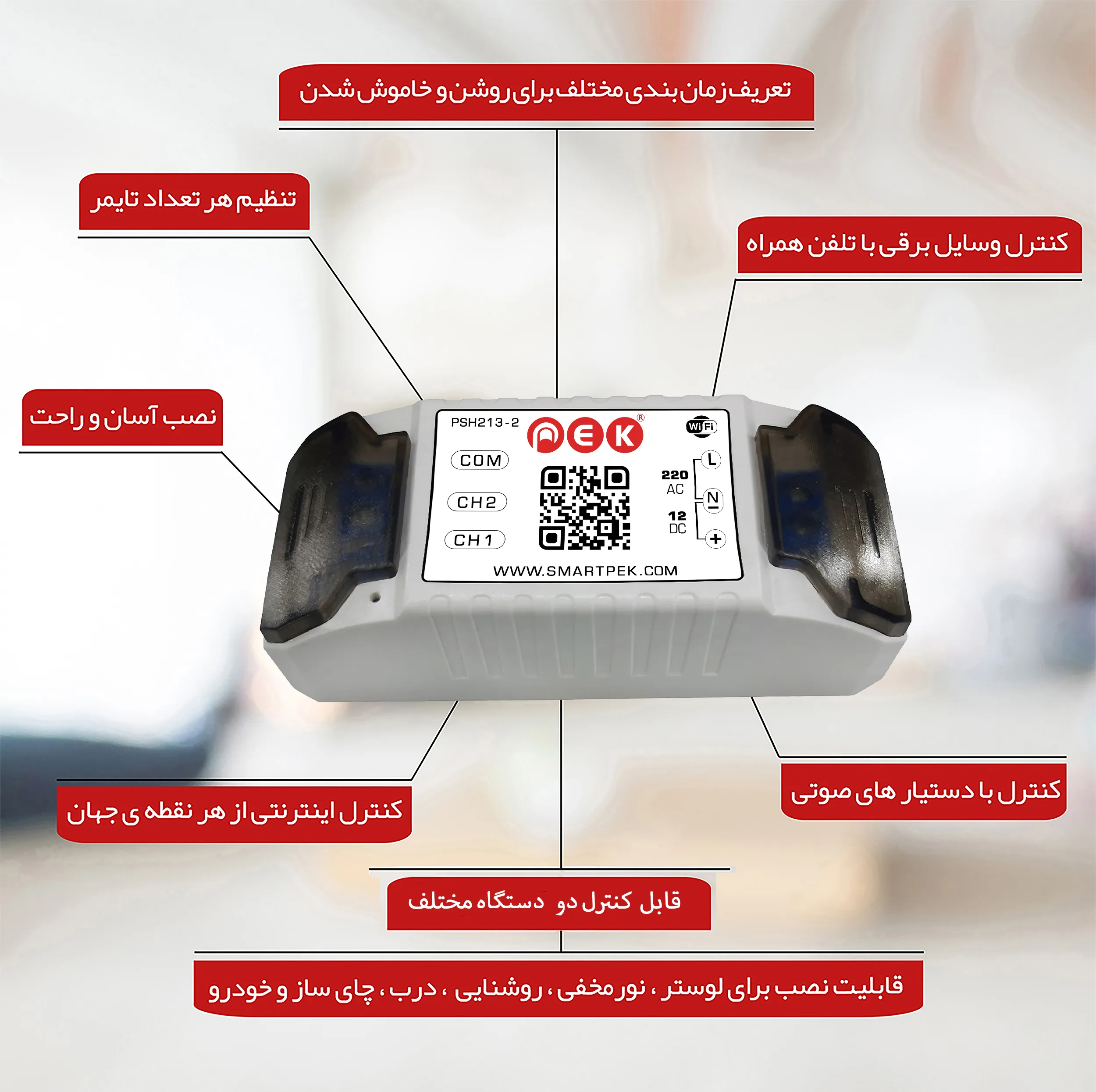 رله سوئیچ هوشمند پِک مدل دو کانال
