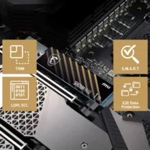 اس اس دی اینترنال PCIe Gen4 x4 ام اس آی مدل SPATIUM M450 ظرفیت 500 گیگابایت