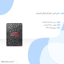 اس اس دی اینترنال اپیسر مدل AS350 PANTHER ظرفیت 128گیگابایت