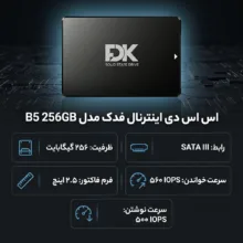 اس اس دی اینترنال فدک مدل B5 256GB ظرفیت 256 گیگابایت