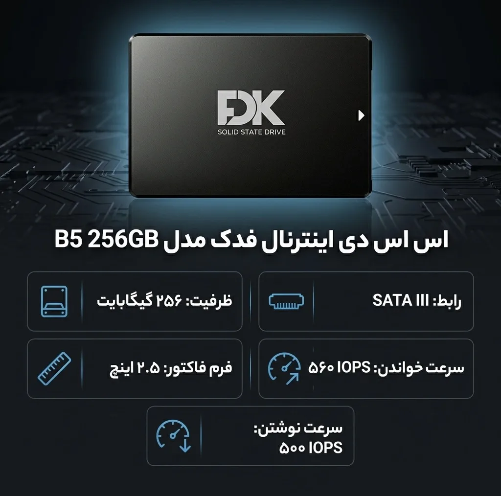 اس اس دی اینترنال فدک مدل B5 256GB ظرفیت 256 گیگابایت